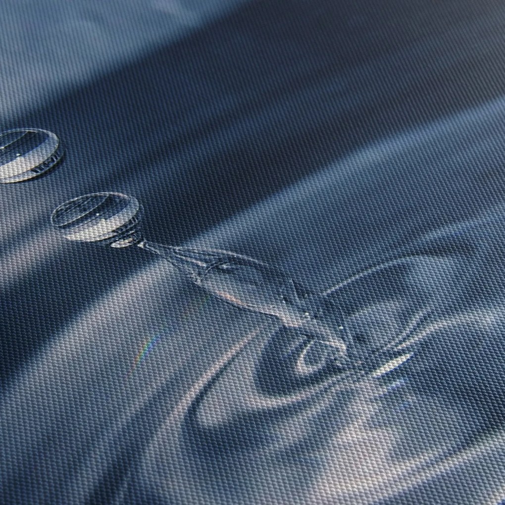Obraz - Krople (170x50 cm)