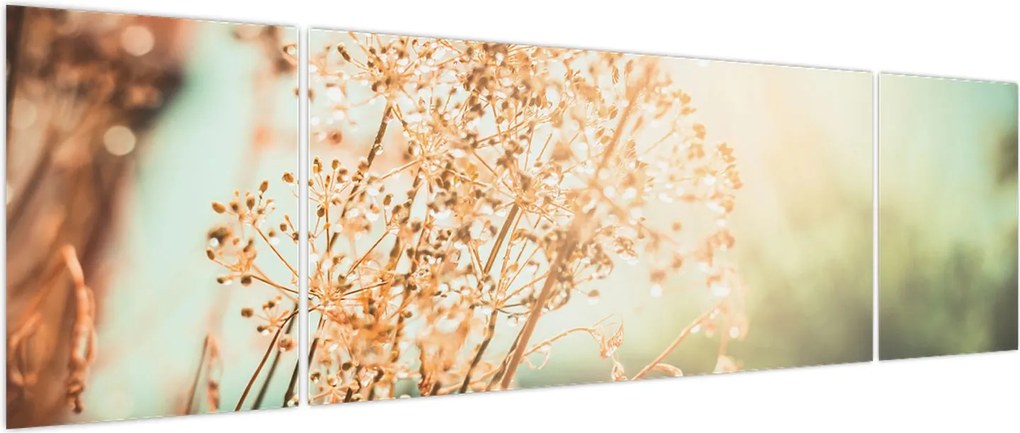 Obraz - Rośliny po deszczu (170x50 cm)