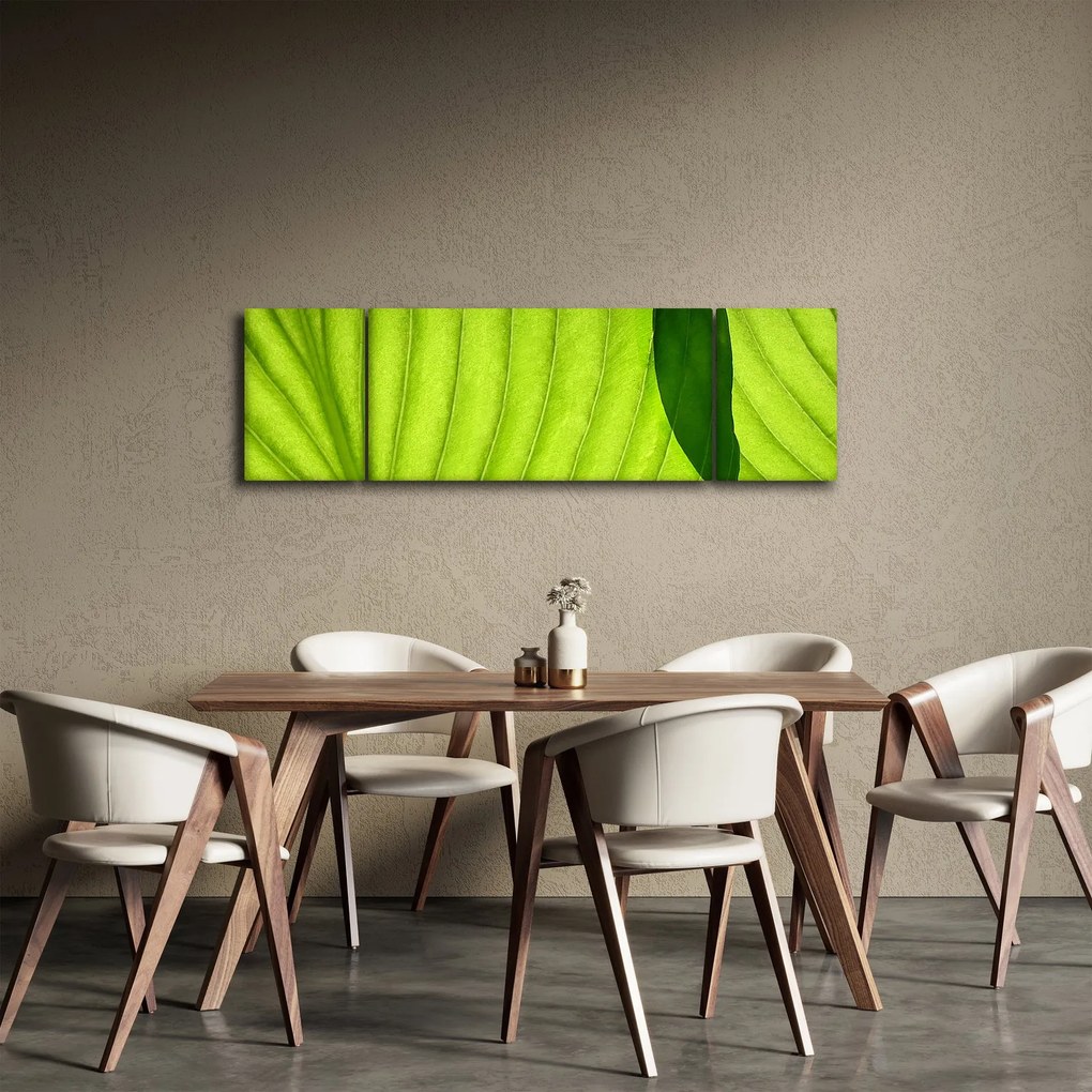 Obraz - Szczegół zielonego liścia (170x50 cm)
