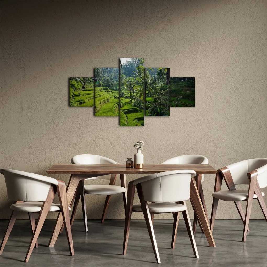 Obraz tarasów ryżowych Tegalalang, Bali (125x70 cm)