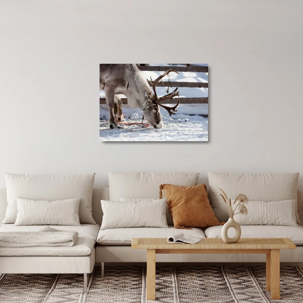 Obraz na szkle - Sat (70x50 cm)