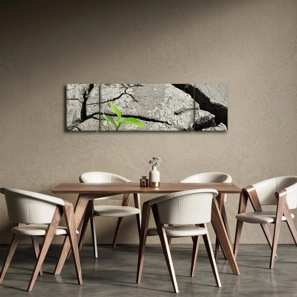 Obraz - Pęknięcia (170x50 cm)