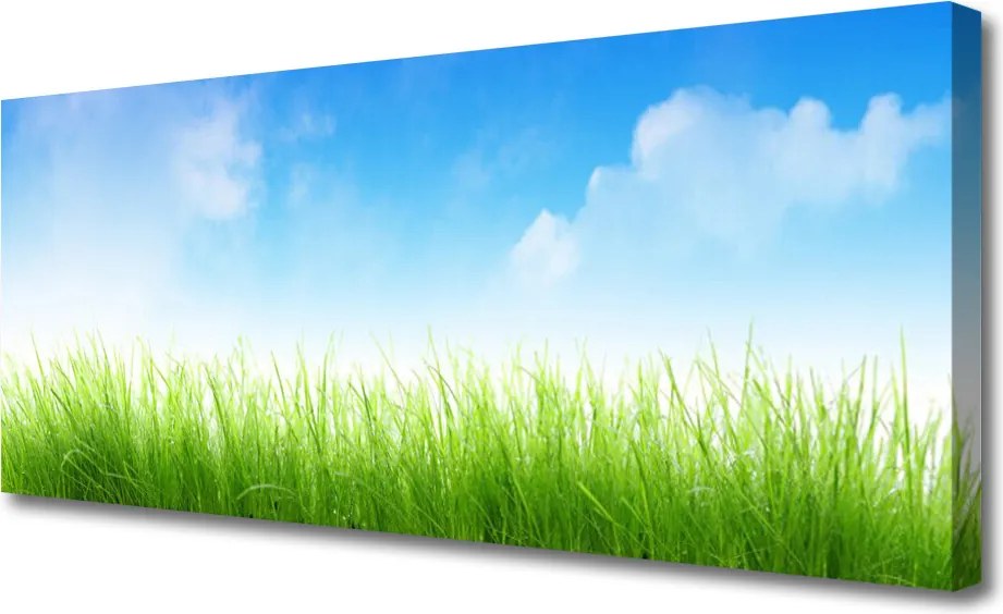 Fotoobraz na płótnie Soczysta Zielona Trawa