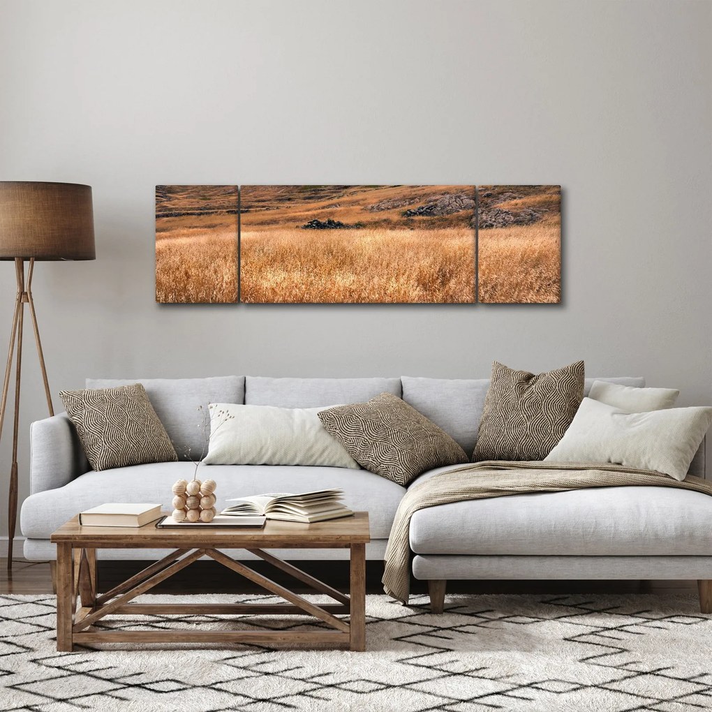 Obraz pola (170x50 cm)