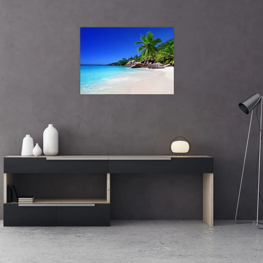 Obraz plaży na wyspie Praslin (70x50 cm)