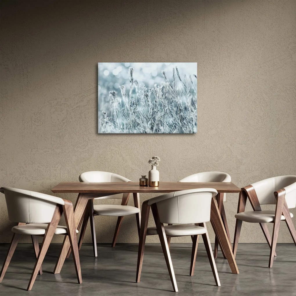 Obraz - Magia zimy (70x50 cm)
