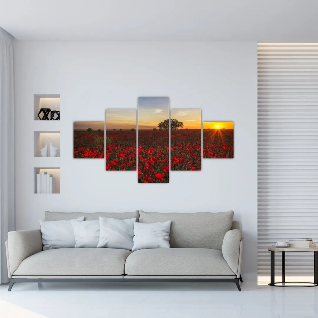 Obraz łąki z makami (125x70 cm)