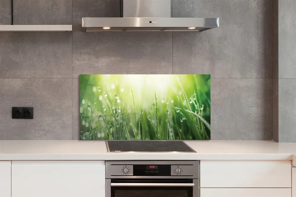 Szklany Panel Krople Rosy w Słońcu