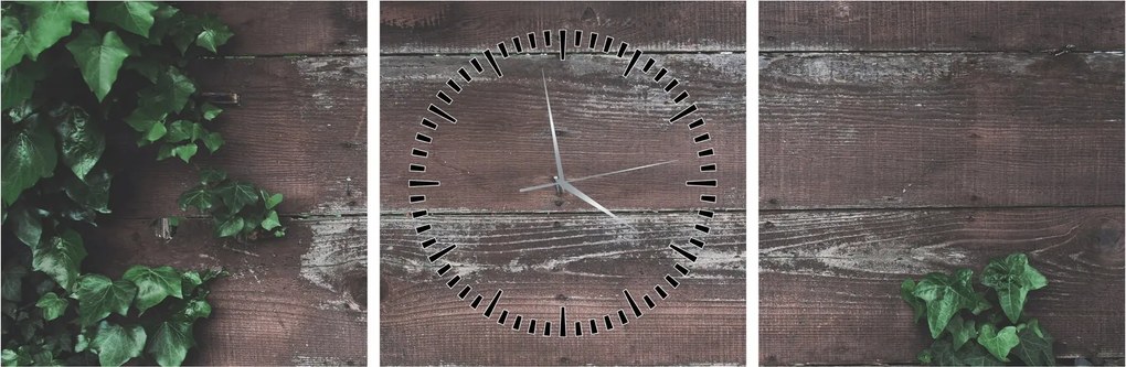 Obraz - Bluszcz (z zegarem) (90x30 cm)
