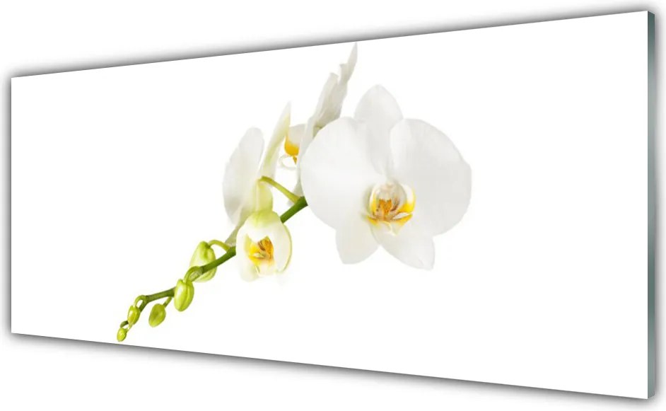 Panel Szklany Pełnia Kwiatowego Rozkwitu