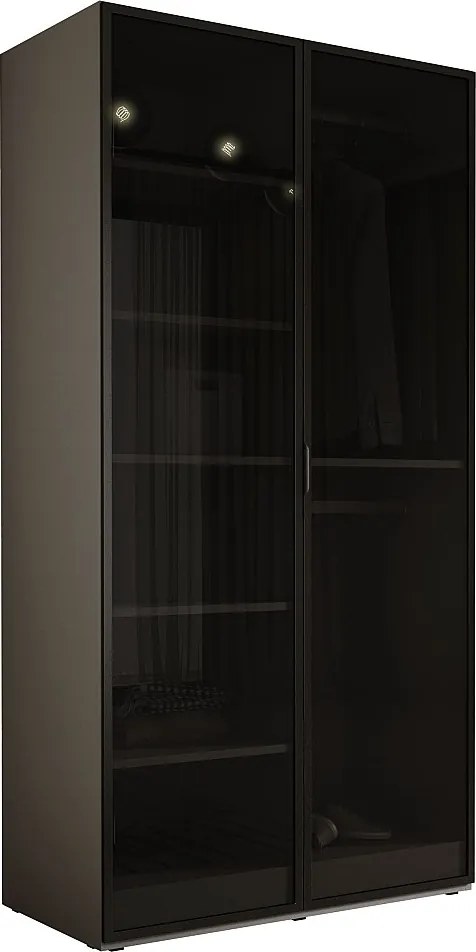 Szafka: Platynowa Szarość / Szkło antysłoneczne, 100 x 200 x 51 cm
