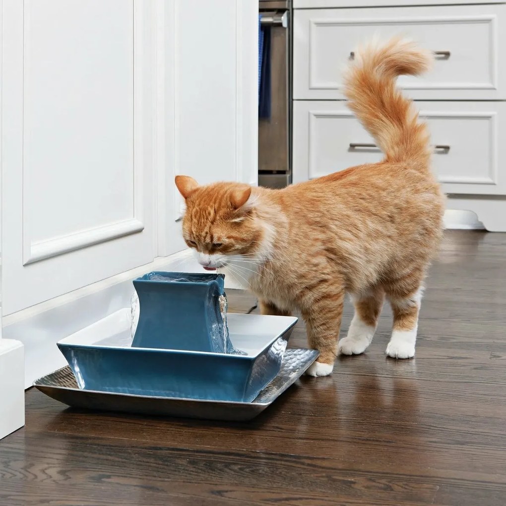 PetSafe® Pagoda Ceramiczna fontanna 2 l niebieska