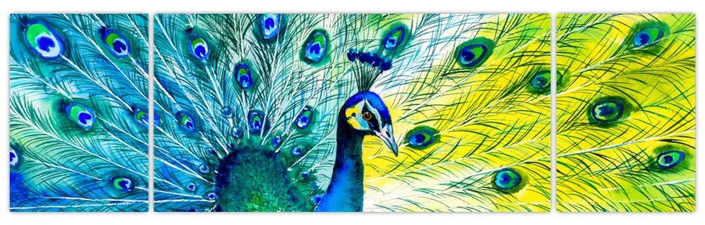 Obraz pawia (170x50 cm)