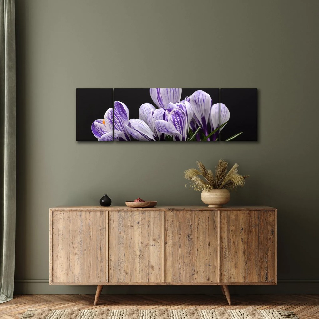Obraz - Fioletowe krokusy (170x50 cm)