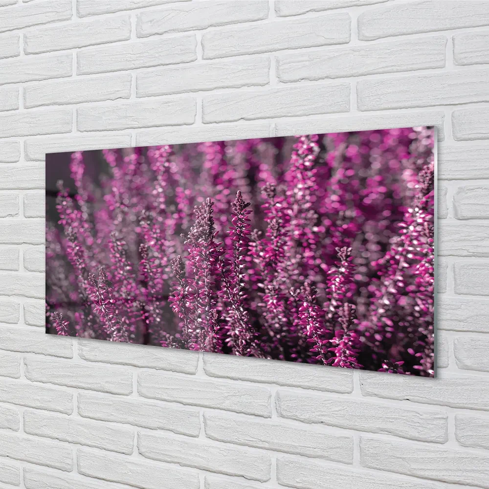 Szklany Panel Pole wrzosy