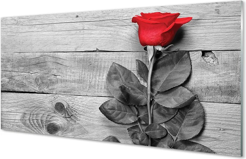 Szklany Panel Czerwona Róża