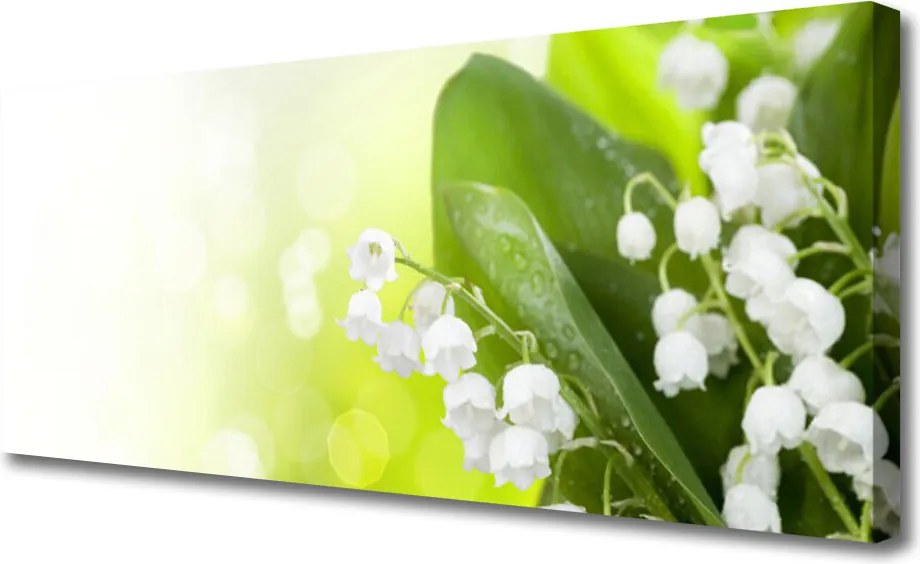 Obraz drukowany na płótnie Dzwoneczki Konwalii w Gęstwinie