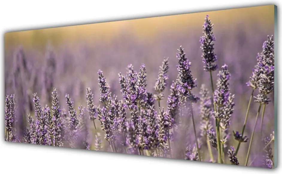 Panel Szklany Wiosenny Powiew Kwiatów