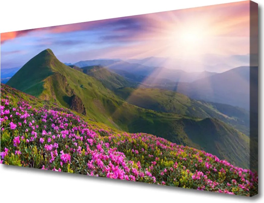 Obraz canvas Kwiatowy Dywan u Stóp Gór