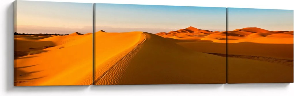 Obraz pustyni (170x50 cm)