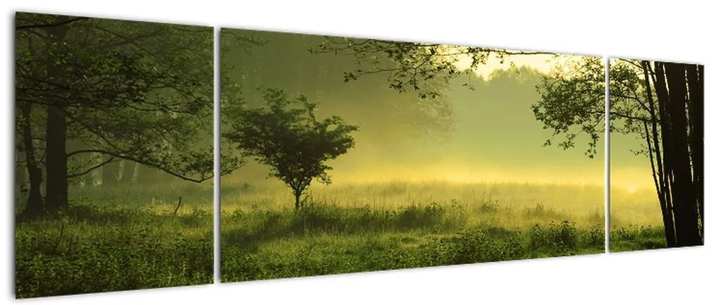 Obraz - Budzący się las (170x50 cm)