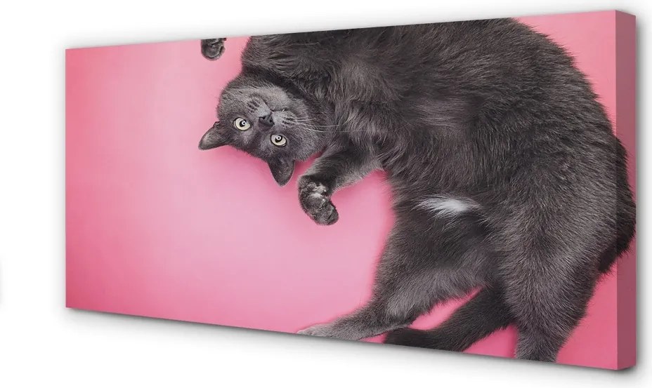 Zdjęcie na płótnie Leniwe Popołudnie Kota