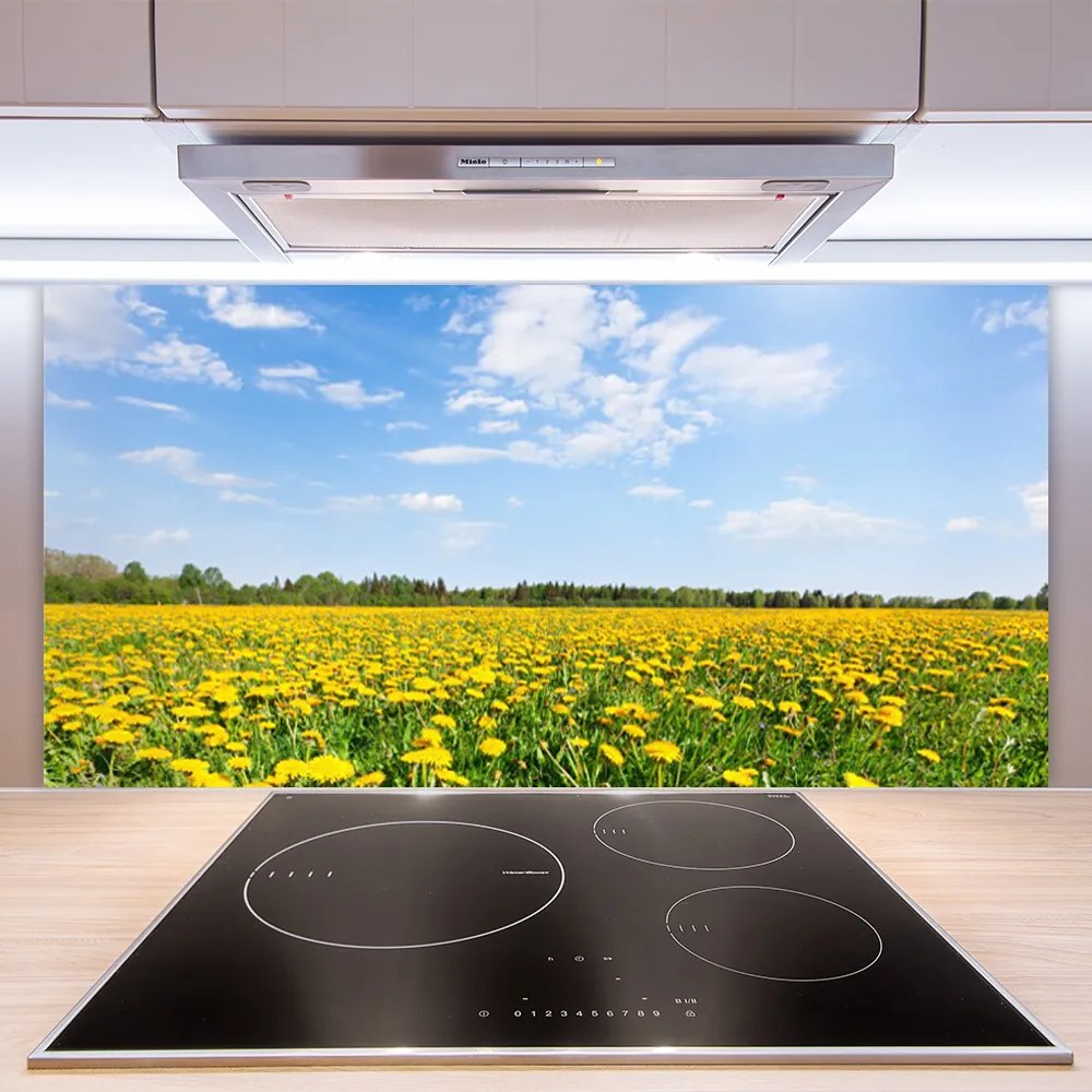 Panel Szklany do Kuchni Słoneczna Łąka Mniszków