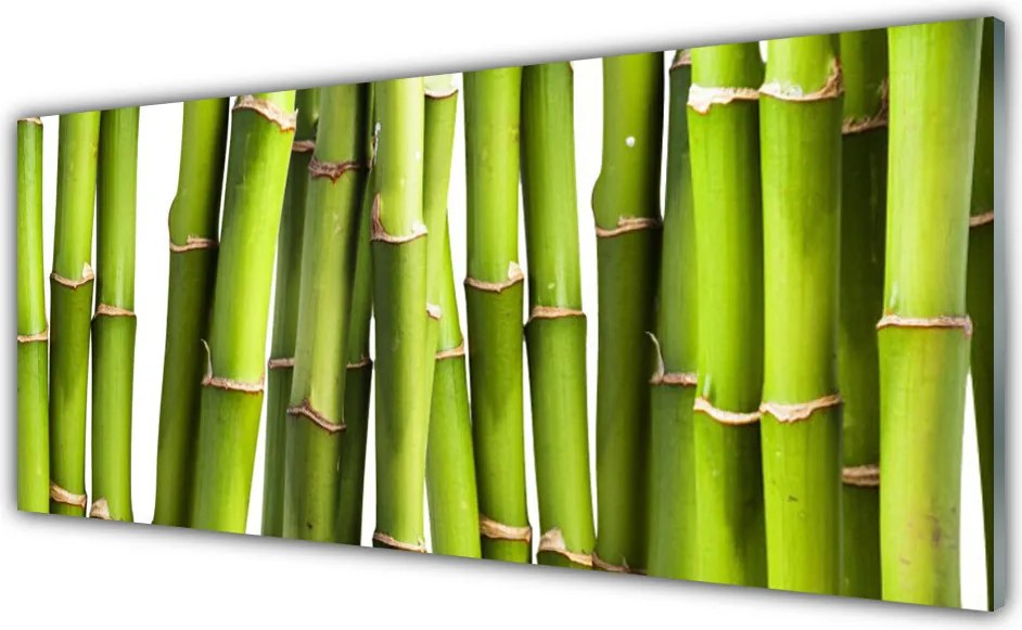 Szkło do Kuchni na Ścianę Świeże Pędy Zielonego Bambusa