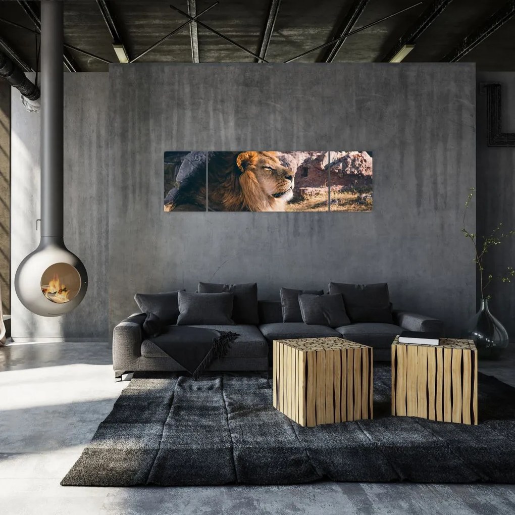 Obraz leżącego lwa (170x50 cm)
