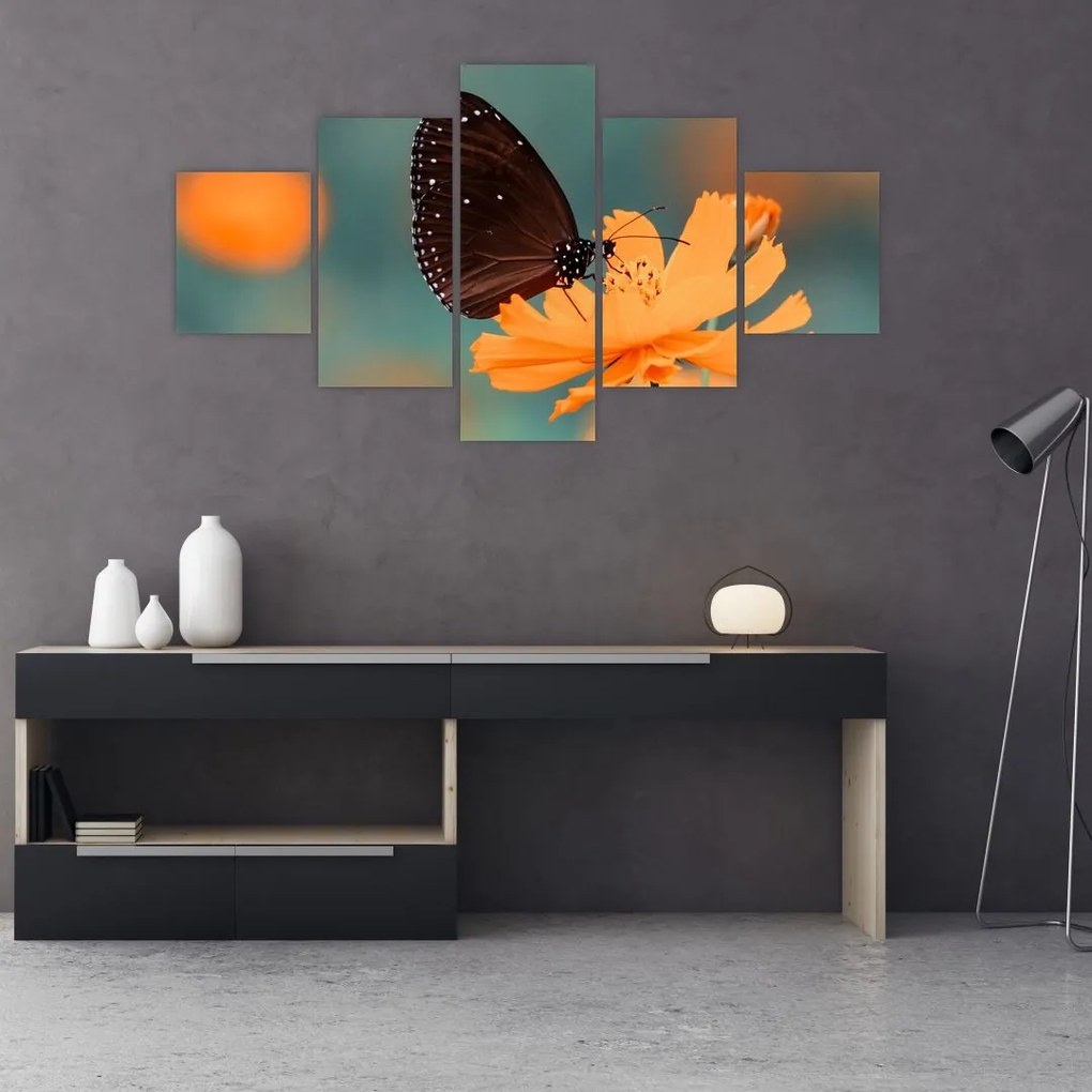 Obraz - motyl na pomarańczowym kwiatku (125x70 cm)