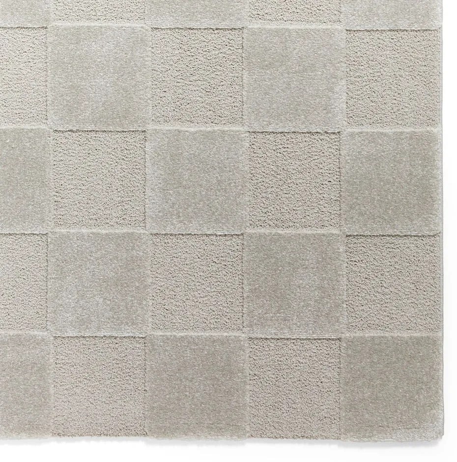 Jasnoszary dywan 200x290 cm Elio Silver – Think Rugs