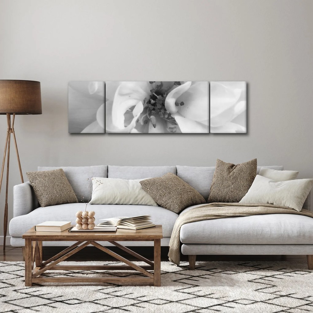 Obraz - Kwiat, czarno - biały (170x50 cm)