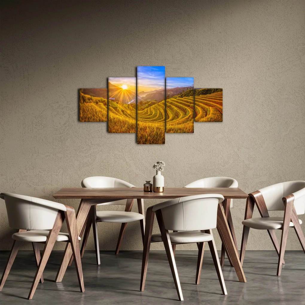 Obraz - Pole ryżowe w Wietnamie (125x70 cm)