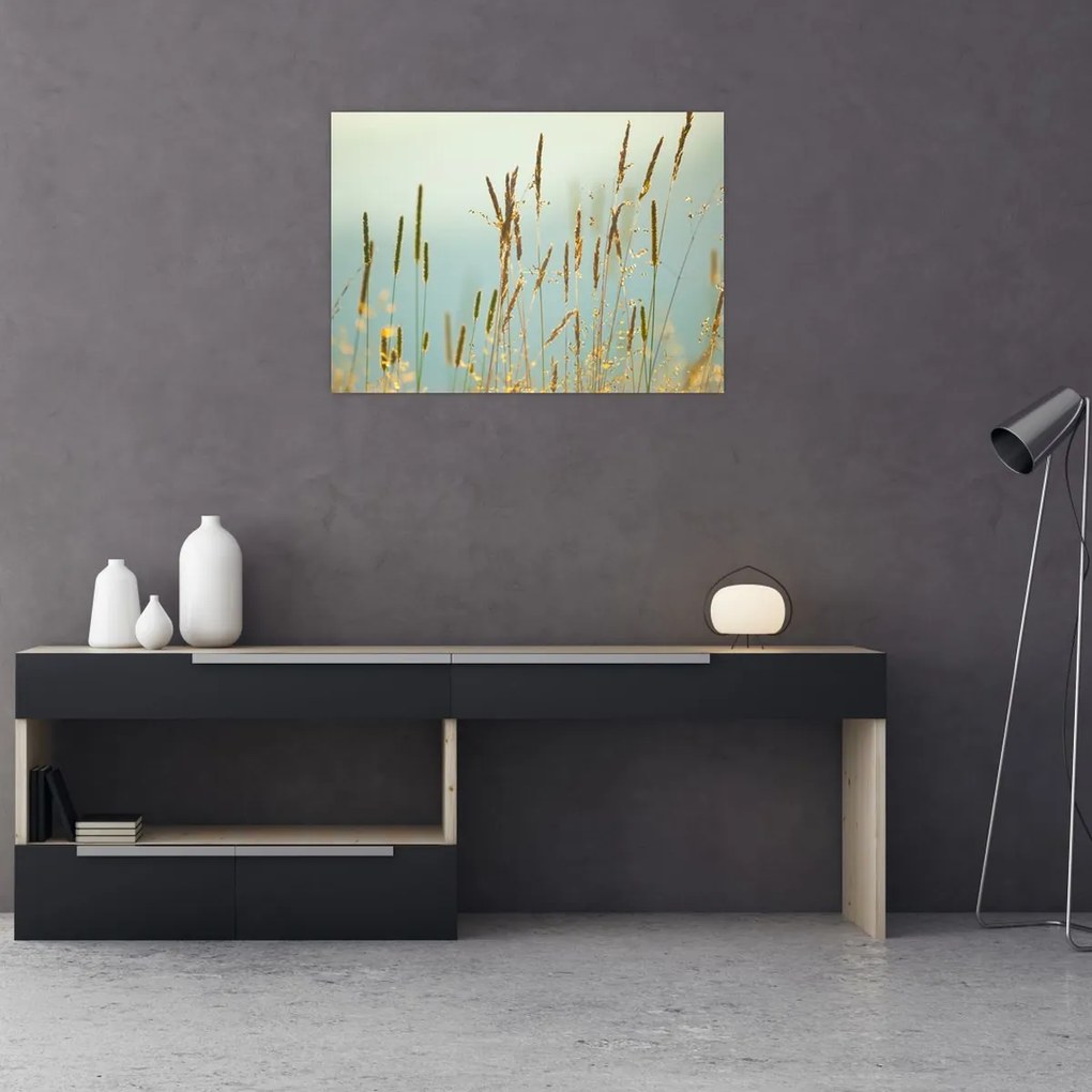 Obraz - Łąkowa chwila (70x50 cm)