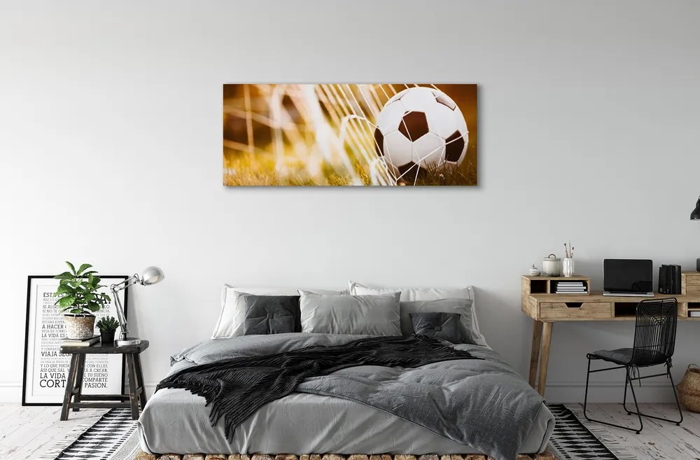 Obraz na płótnie Kontrastowy Futbol Na Murawie
