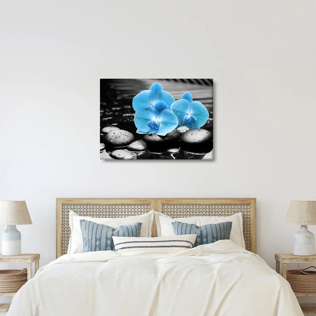 Obraz - Niebieska Orchidea (70x50 cm)