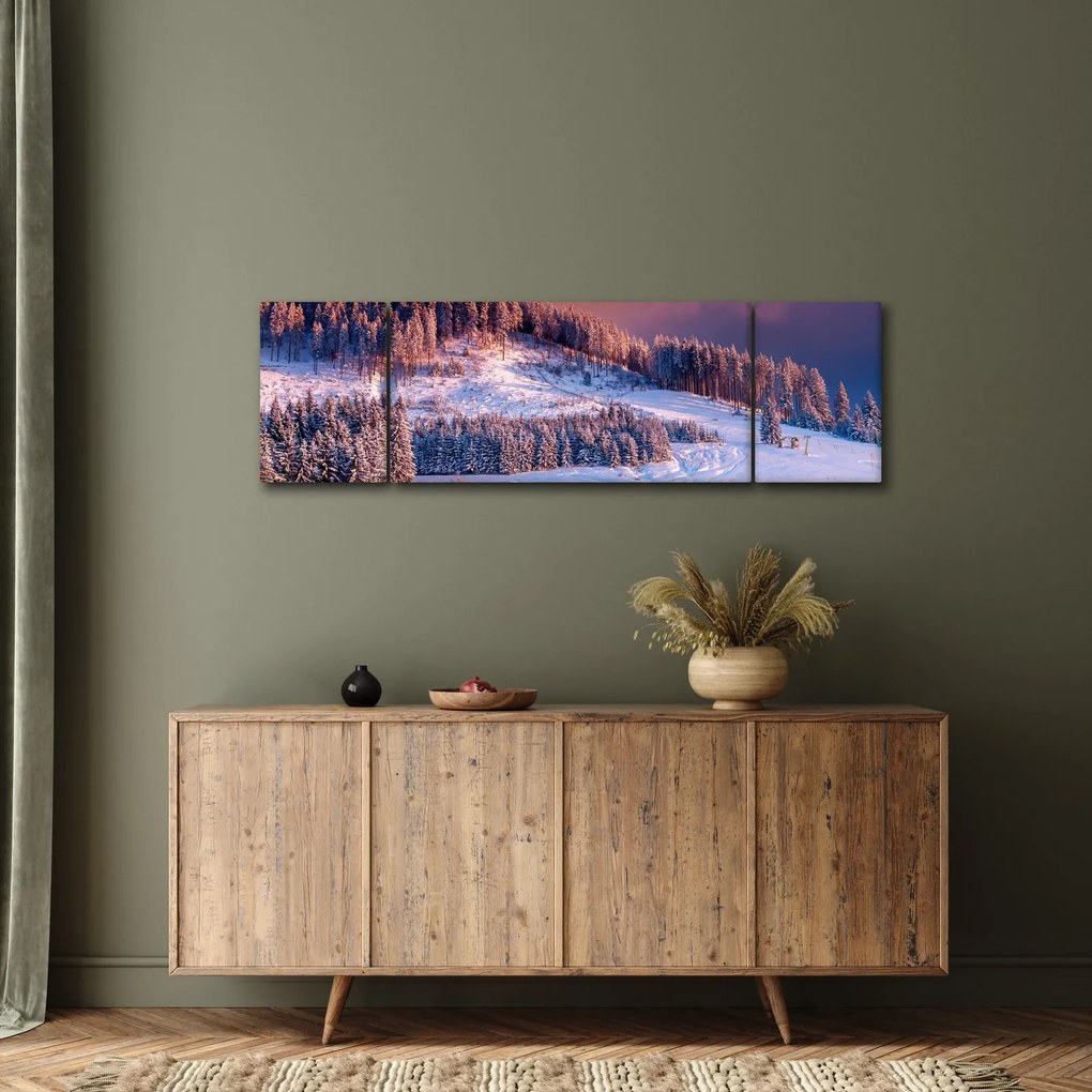 Obraz zimowego krajobrazu (170x50 cm)