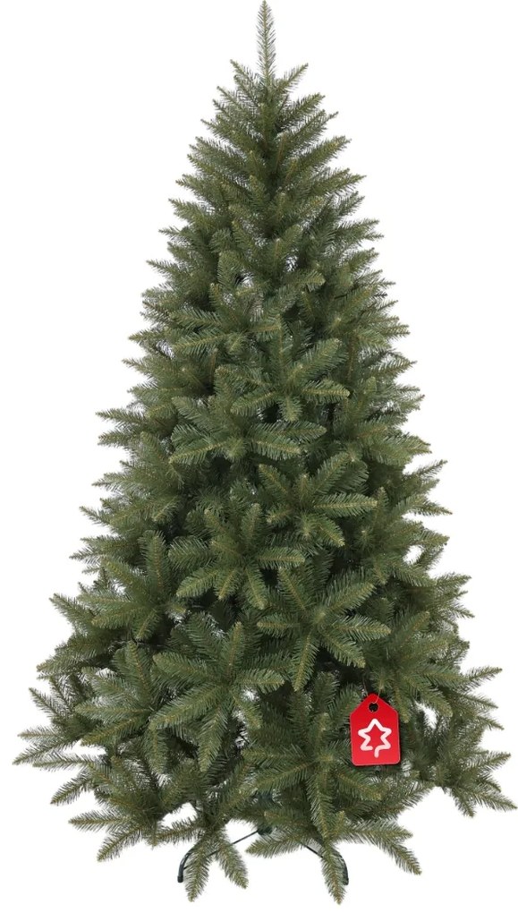 Świerk kaukaski 210 cm