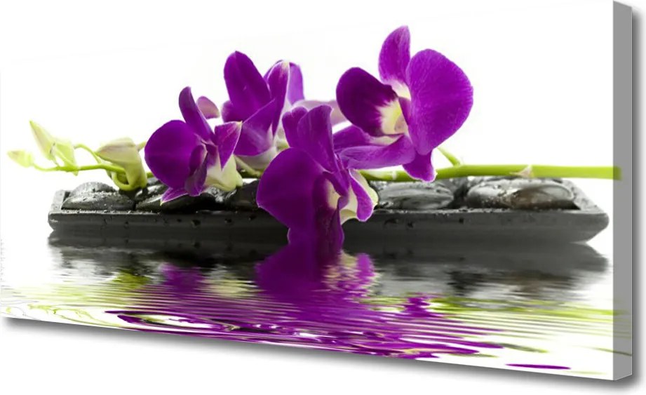 Obraz canvas Letni Ogród na Płótnie