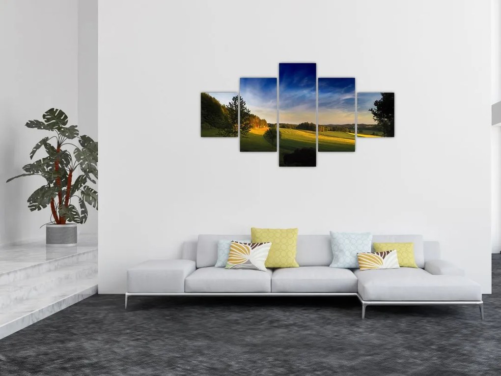 Obraz - Górska łąka (125x70 cm)