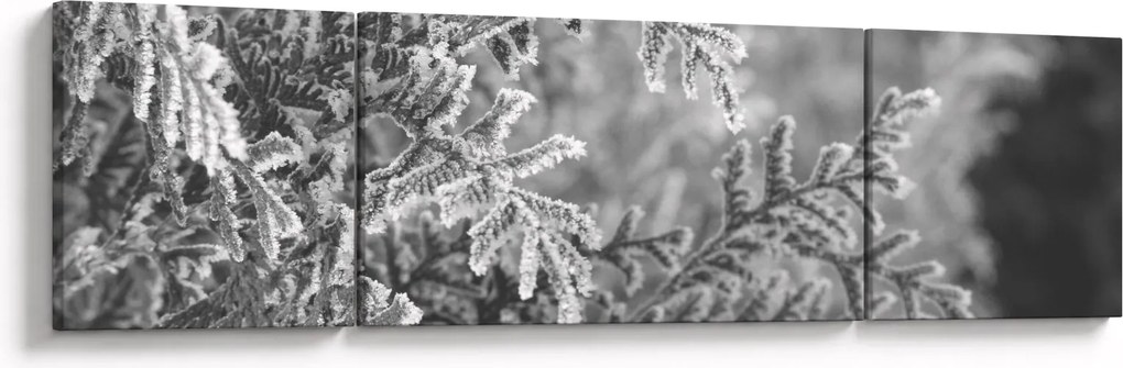 Obraz - Las świerkowy (170x50 cm)