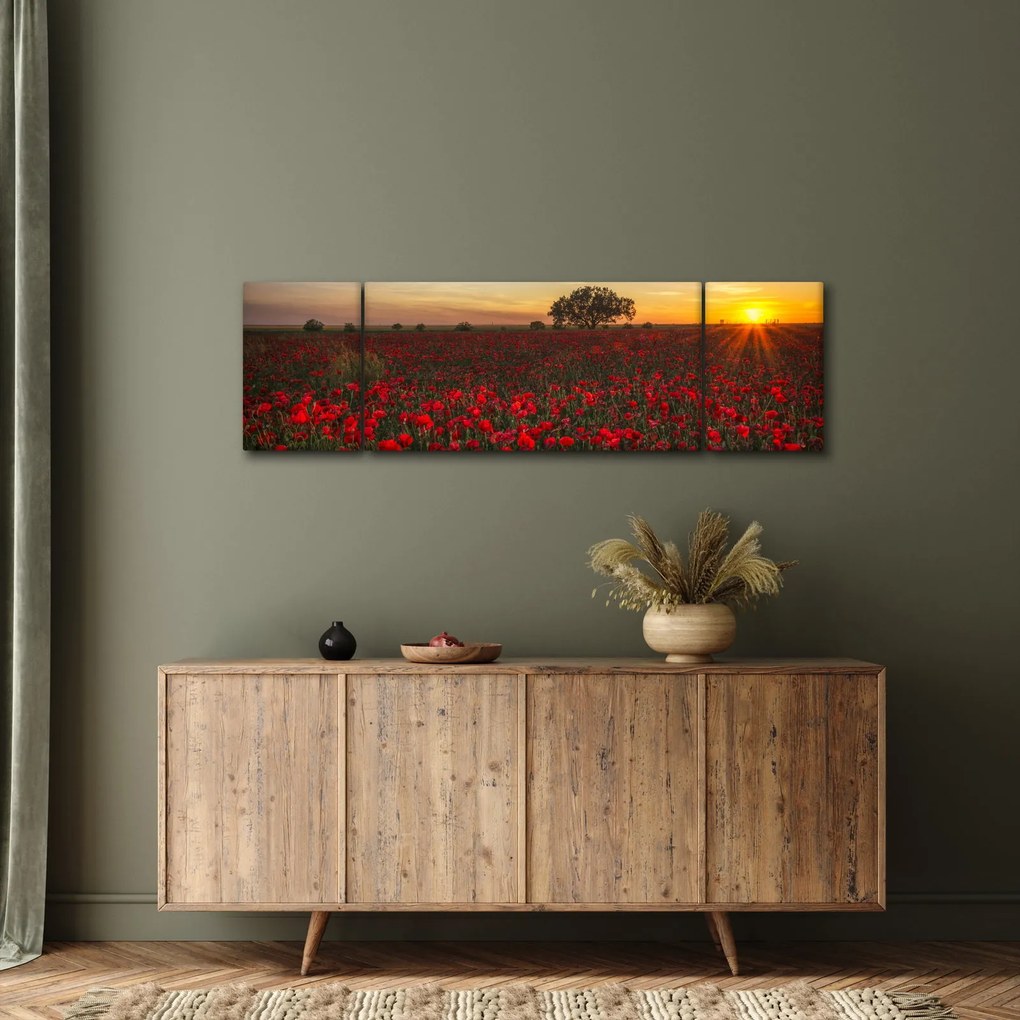 Obraz łąki z makami (170x50 cm)