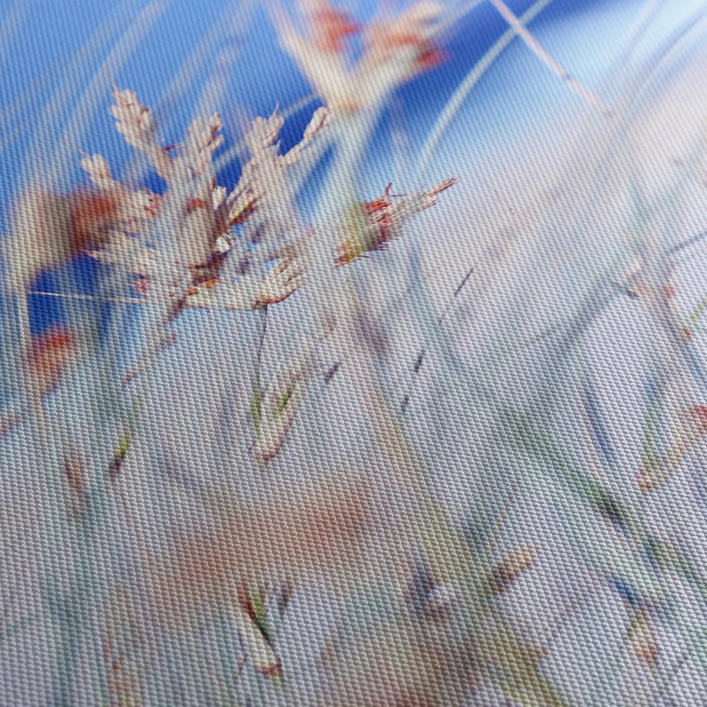 Obraz - Bryza (125x70 cm)