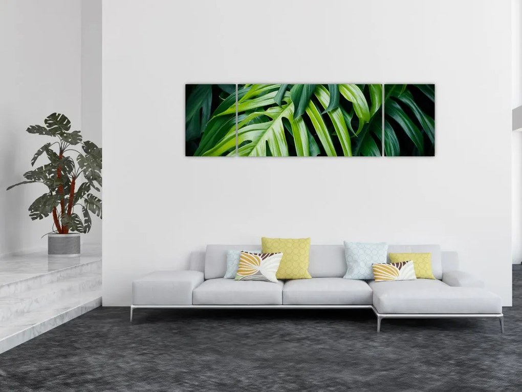 Obraz - Tropikalne liście (170x50 cm)