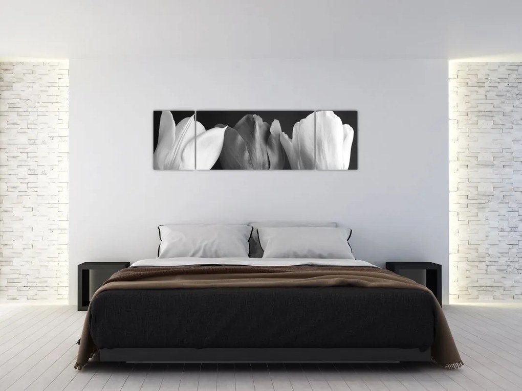 Obraz - Czarno - białe kwiaty tulipanów (170x50 cm)
