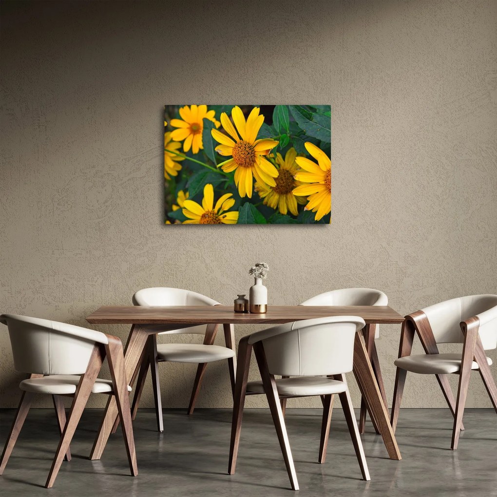 Obraz żółtych kwiatów (70x50 cm)