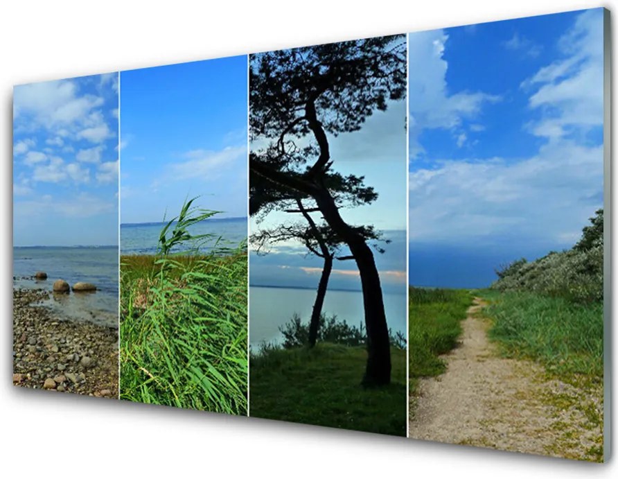 Szkło Dekoracyjne do Kuchni Samotne Drzewo Na Plaży