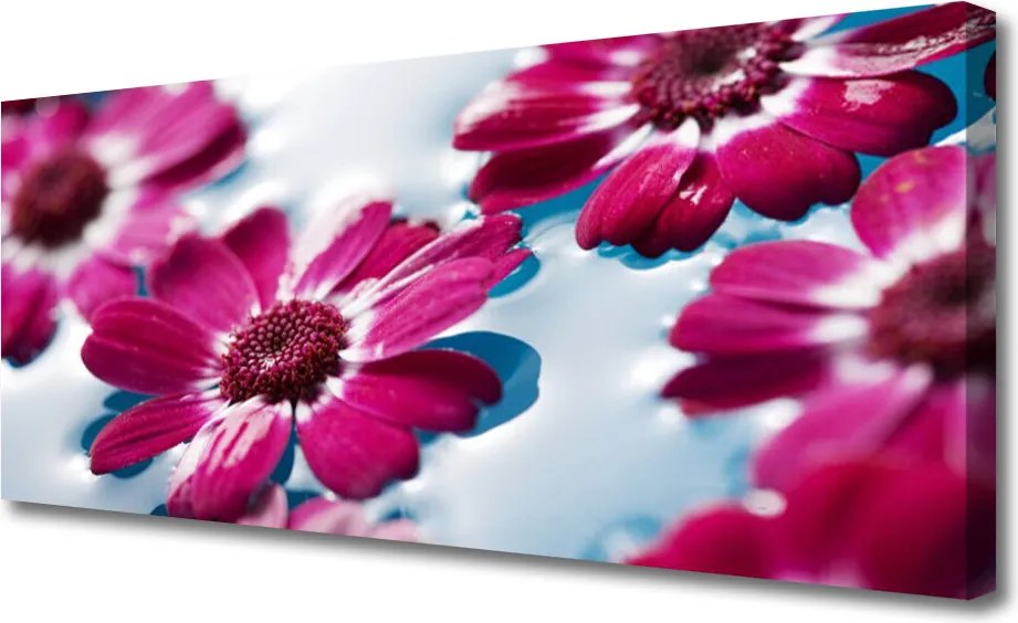 Duży obraz na płótnie Rosa na Puszystym Dmuchawcu