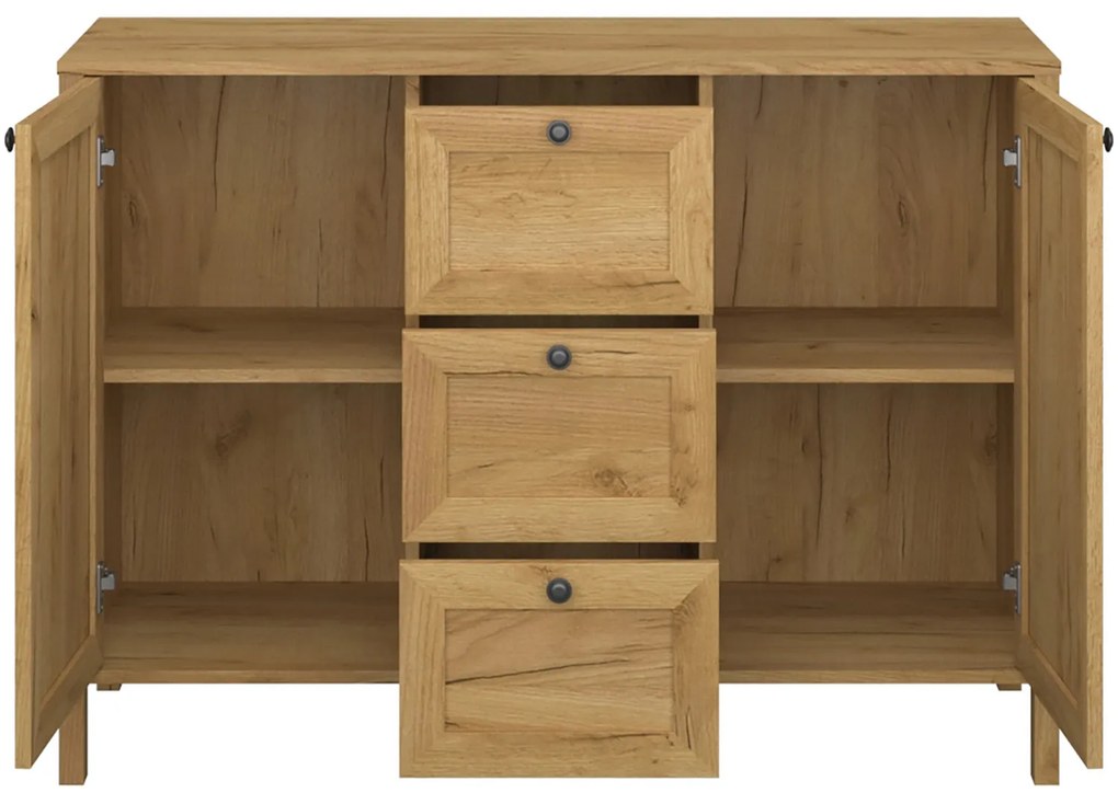 Komoda Dwudrzwiowa z Szufladami Drewniana do Salonu DALE 118 cm Dąb craft złoty Klasyczna