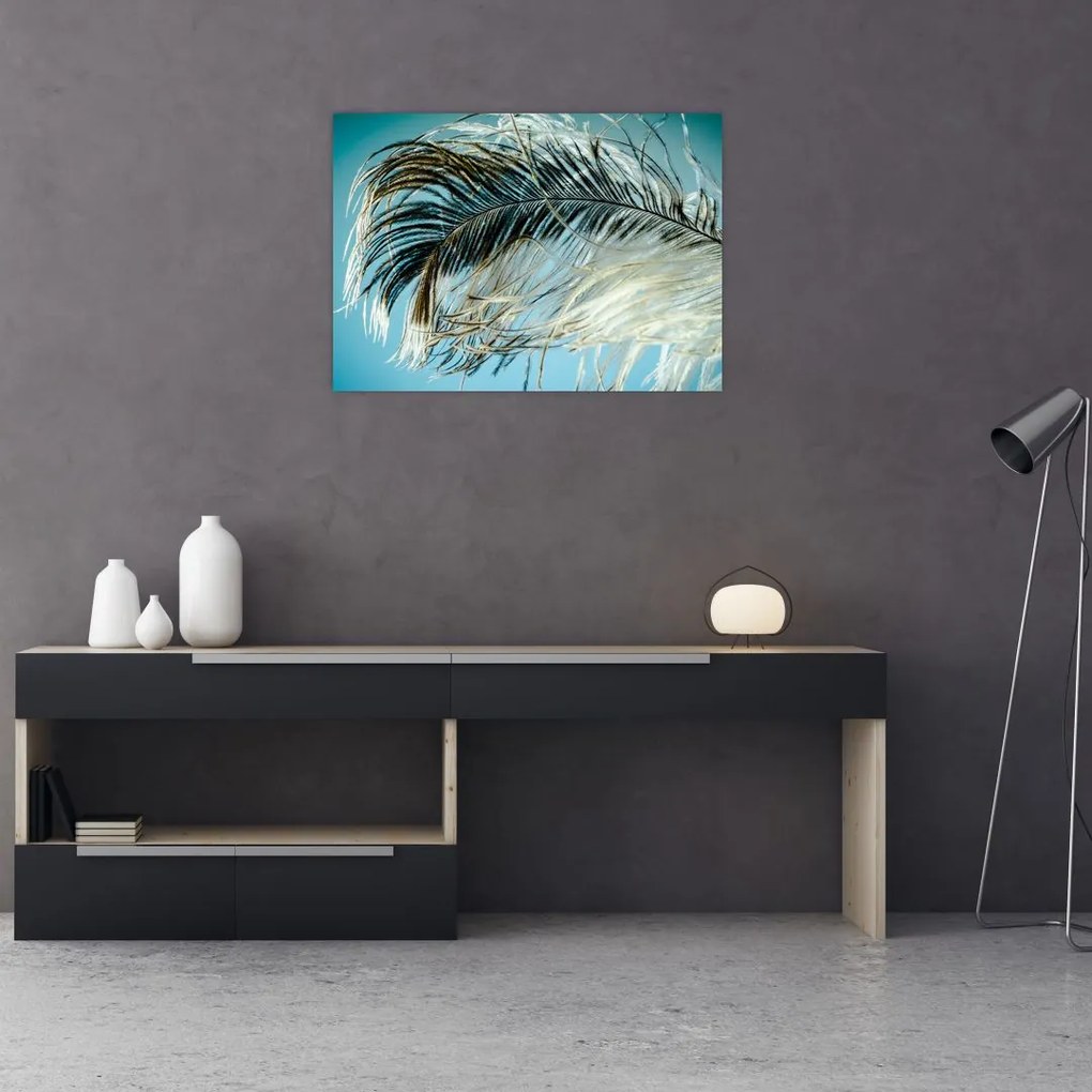 Obraz na szkle - pióro (70x50 cm)